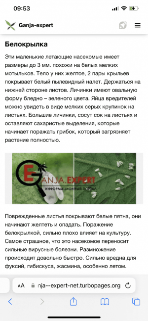 IMG_7221.png IMG_7221.png