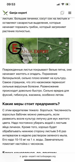 IMG_7222.png IMG_7222.png