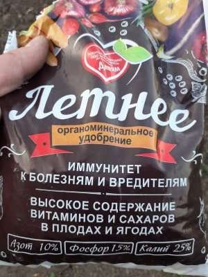 Internet_20230620_103930_2.jpeg