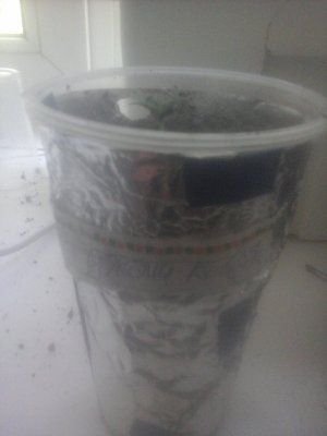 20230625_123014.jpg