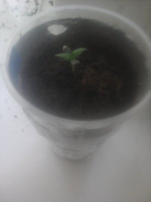20230625_122957.jpg