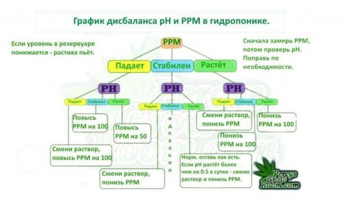 IMG_7957.jpeg