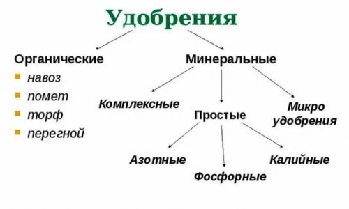 IMG_20230629_173518_643.jpg