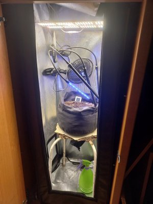 20230625_075951.jpg