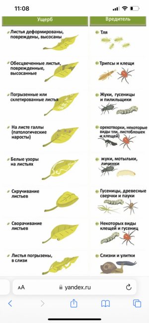 IMG_8536.png