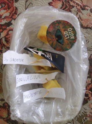 IMG_20211021_105557.jpg