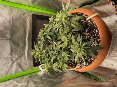 ABD33DA7-2185-4B2D-B633-305AEA234097.jpeg