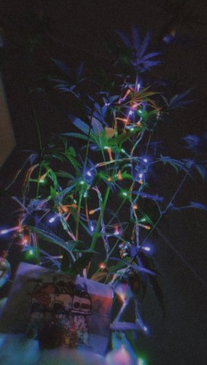 IMG_20220108_175558_035.jpg
