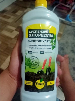 IMG20230713232446.jpg