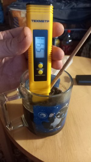 20230713_210750.jpg