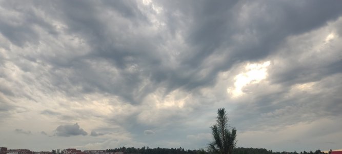 IMG_20230717_182632.jpg