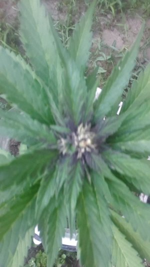20230717_205742.jpg