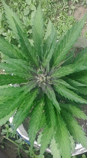 20230718_145755.jpg