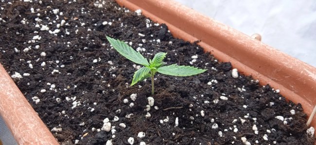 6дн (2).jpg