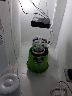 20230802_181251.jpg