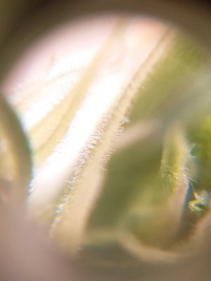 20230802_161659.jpg
