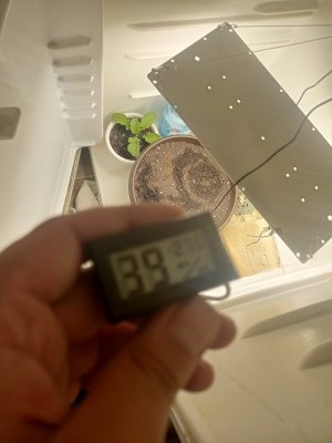 16913271127223892631125479735833.jpg