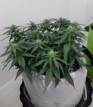 20230813_145140.jpg