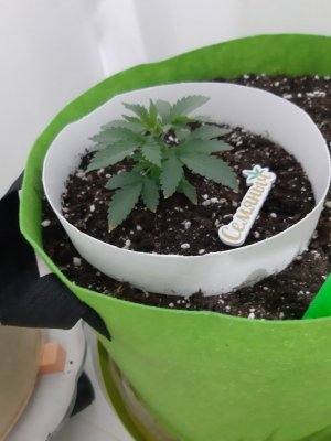 20230911_210409.jpg