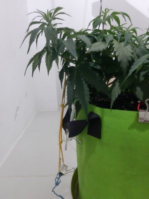 20230915_180709.jpg