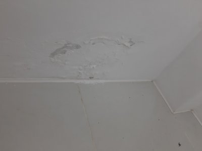 20230919_201825.jpg