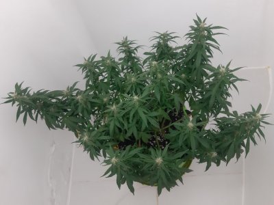 20230919_212956.jpg
