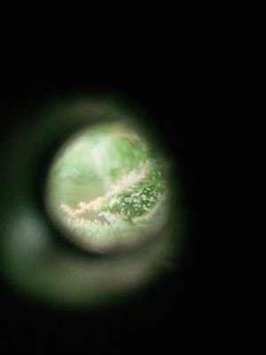 IMG20230920131510.jpg