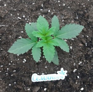 20230924_200235.jpg