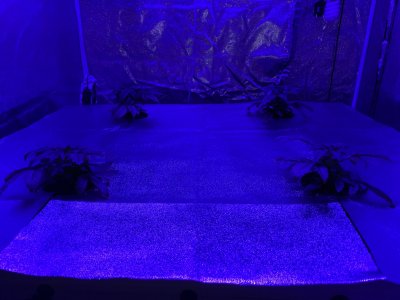 IMG_1801.JPG