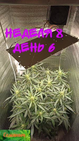 Picsart_23-09-30_07-39-37-157.jpg