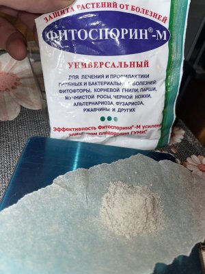 0593E0E2-56C3-427C-8A23-9AEF6E4FDA96.jpeg