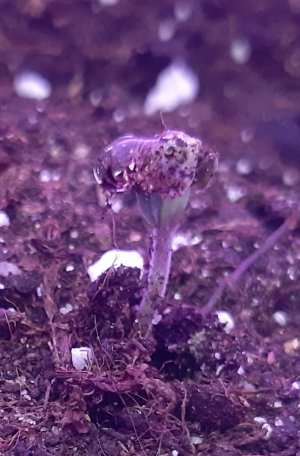 20230624_191819.jpg