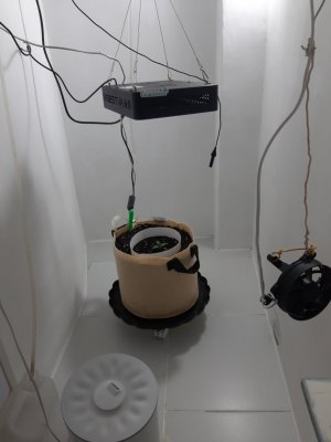 20231015_072932.jpg