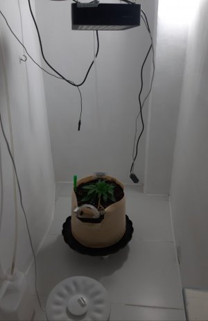 20231015_163757.jpg