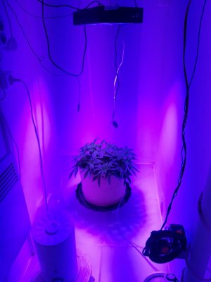 20231017_210625.jpg