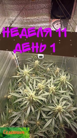 Picsart_23-10-16_14-08-12-415.jpg