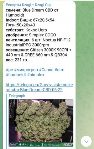 Screenshot_2023-10-26-09-32-08-68_948cd9899890cbd5c2798760b2b95377.jpg