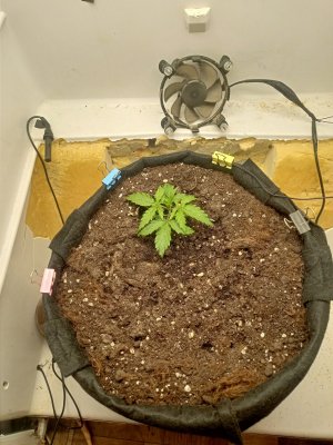 IMG20231101081536.jpg