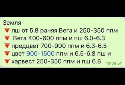 IMG_3610.jpeg