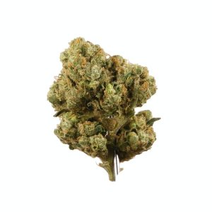 Sour Diesel.jpg Sour Diesel.jpg