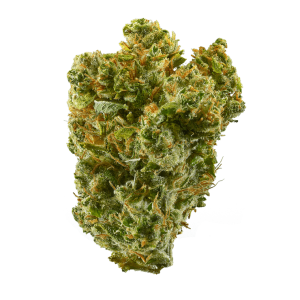Super silver Haze.png Super silver Haze.png