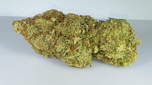 island sweet skunk.jpg island sweet skunk.jpg