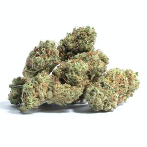 Dutch Treat.jpg Dutch Treat.jpg