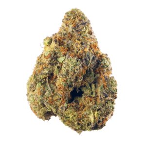 stardawg.jpg stardawg.jpg