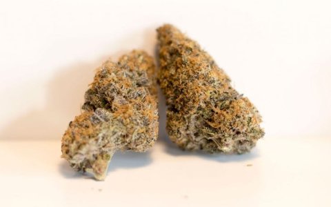 mendo breath.jpg