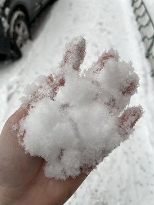 IMG_3869.jpeg