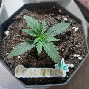 20231201_211327.jpg