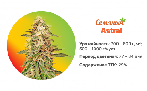 Astral Astral