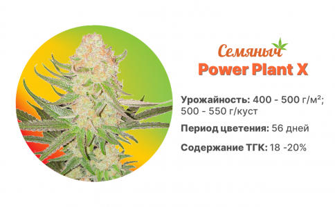 Power Plant X Power Plant X