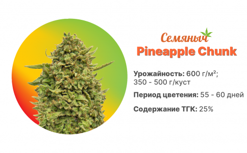 Pineapple Chunk
